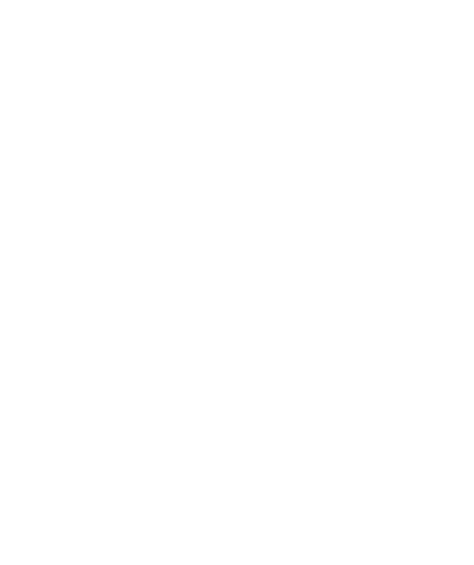 Consiliul Judetean Timis